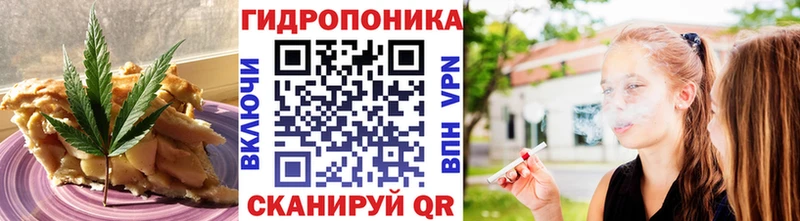 Купить закладки  Новомичуринск  Canna-Cookies конопля 