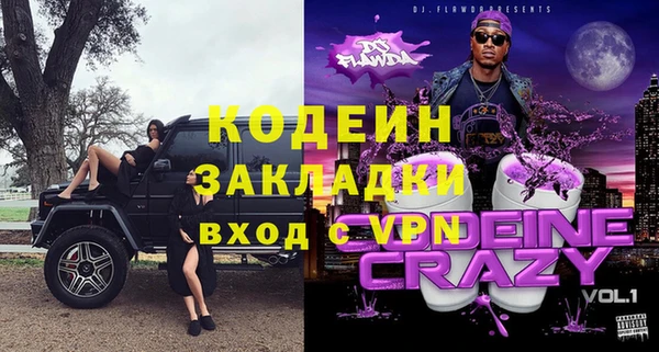 эйфоретик Гусь-Хрустальный