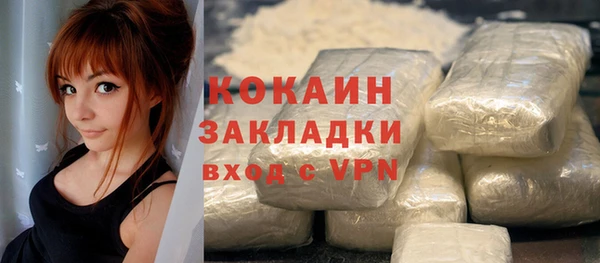 эйфоретик Гусь-Хрустальный