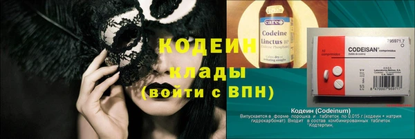 эйфоретик Гусь-Хрустальный