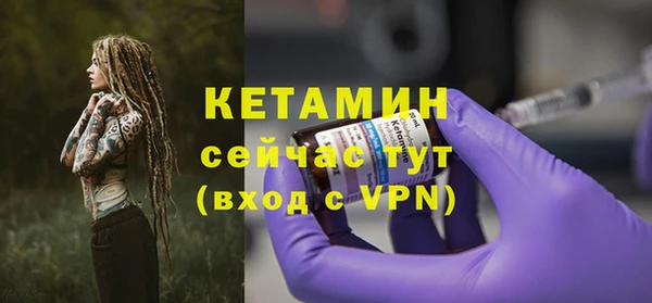 эйфоретик Гусь-Хрустальный