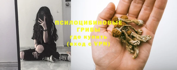 jwh Гусев