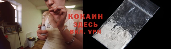 эйфоретик Гусь-Хрустальный