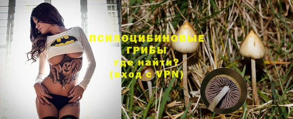 эйфоретик Гусь-Хрустальный