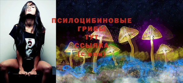 эйфоретик Гусь-Хрустальный