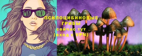 мескалин Гусиноозёрск