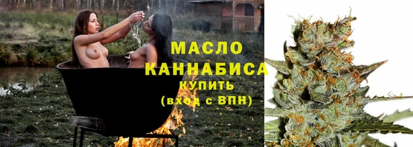 эйфоретик Гусь-Хрустальный