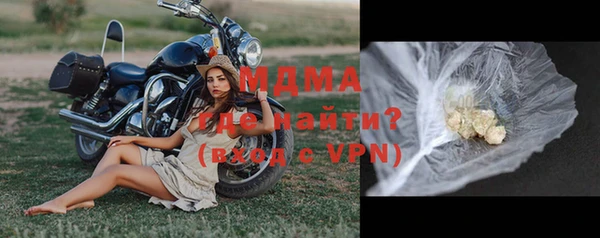 эйфоретик Гусь-Хрустальный