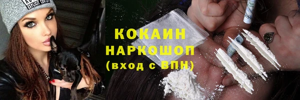 эйфоретик Гусь-Хрустальный
