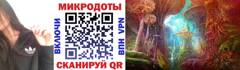 Купить где  Новомичуринск  Галлюциногенные грибы прущие грибы 